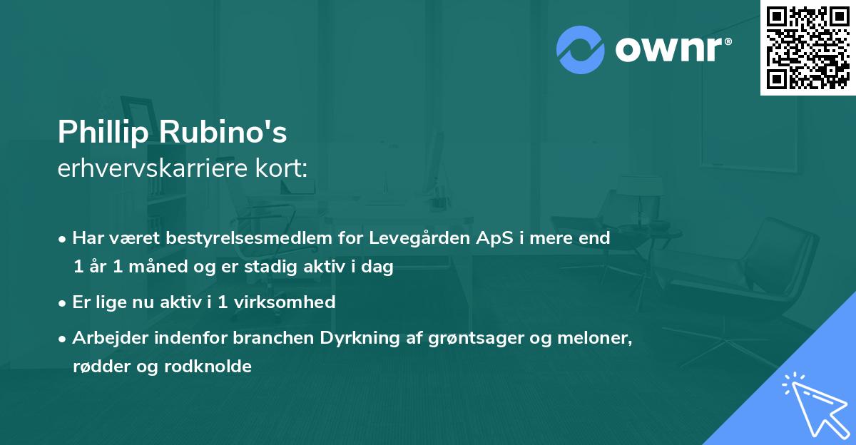 Phillip Rubino's erhvervskarriere kort