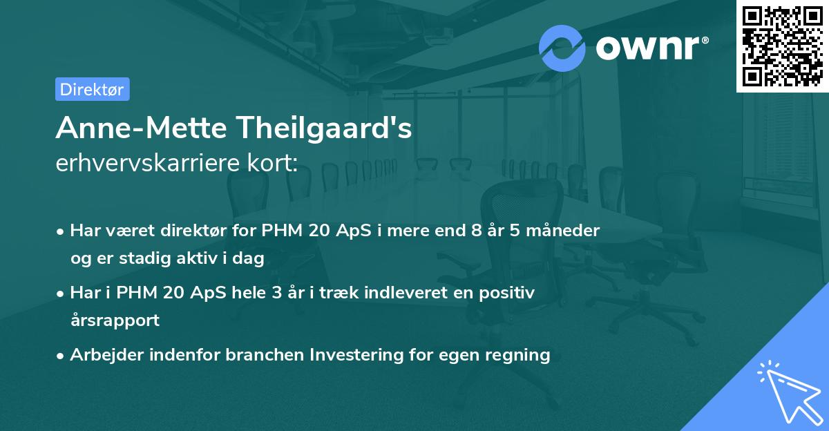 Anne-Mette Theilgaard's erhvervskarriere kort