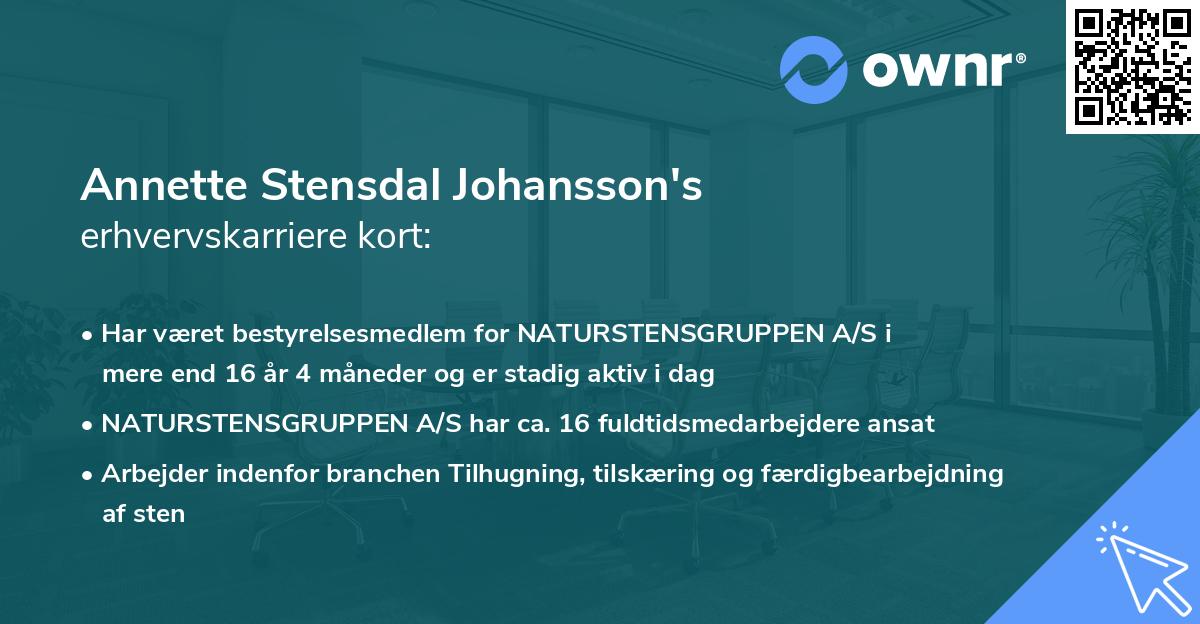Annette Stensdal Johansson's erhvervskarriere kort