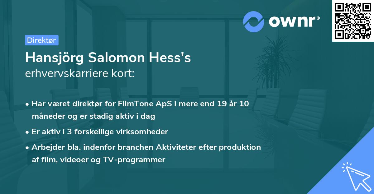 Hansjörg Salomon Hess's erhvervskarriere kort