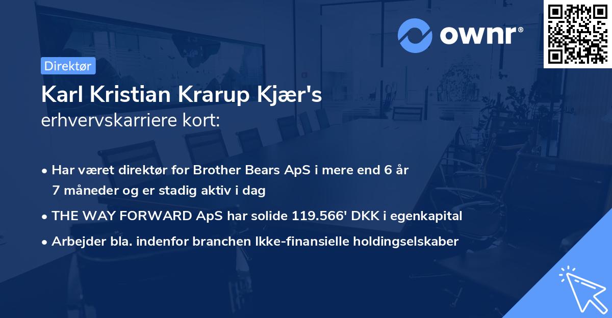 Karl Kristian Krarup Kjær's erhvervskarriere kort