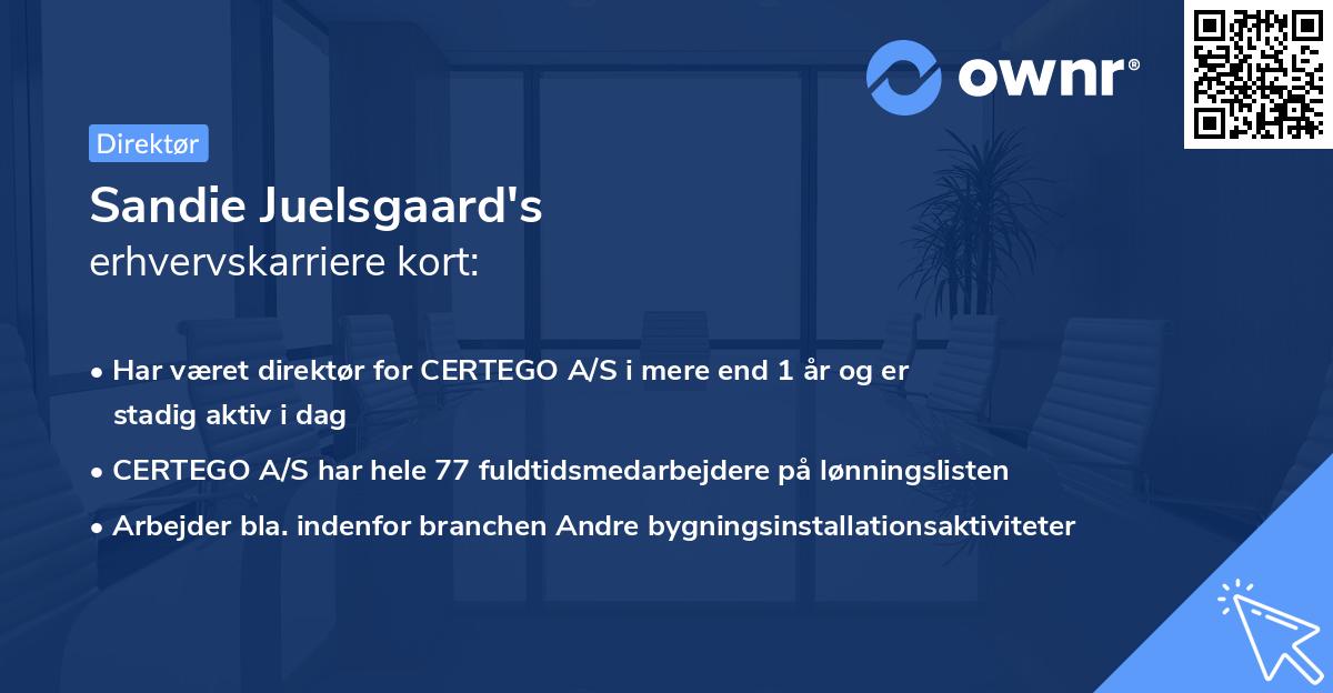 Sandie Juelsgaard's erhvervskarriere kort