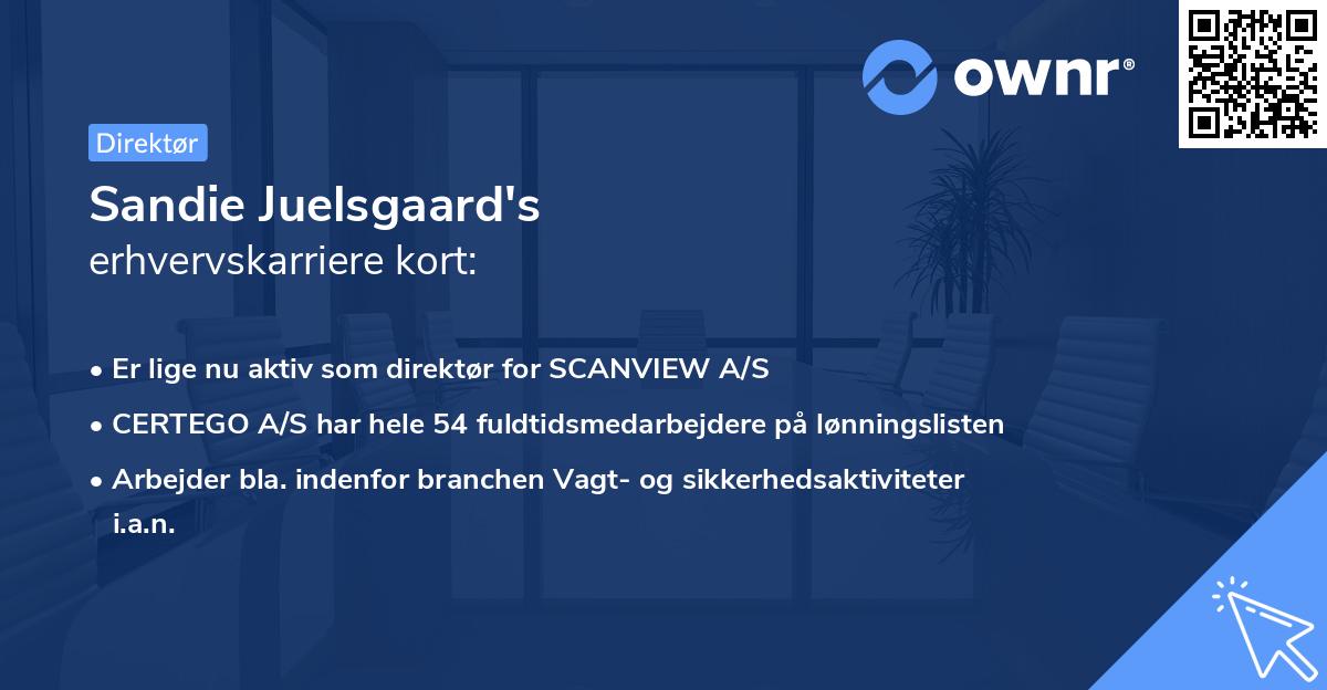 Sandie Juelsgaard's erhvervskarriere kort