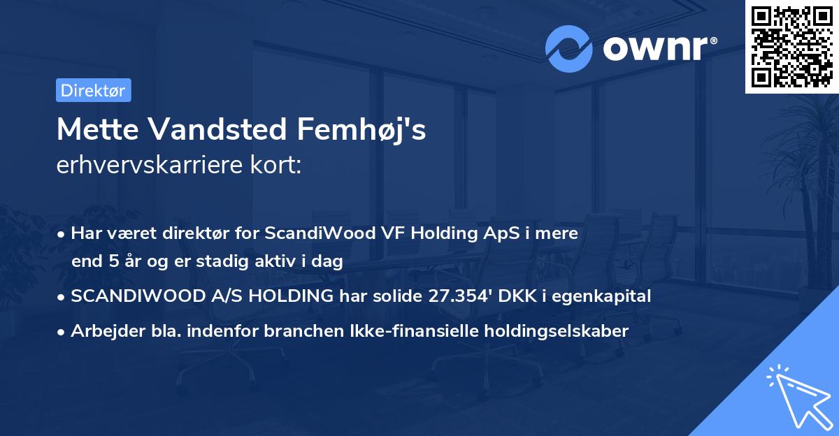 Mette Vandsted Femhøj's erhvervskarriere kort
