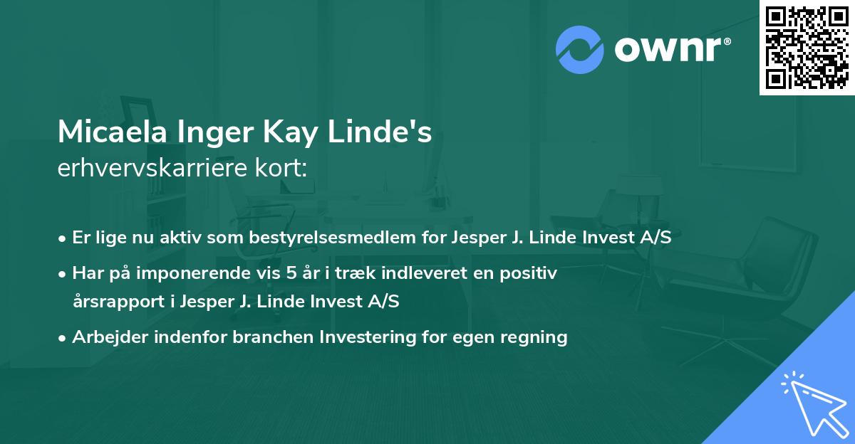 Micaela Inger Kay Linde's erhvervskarriere kort