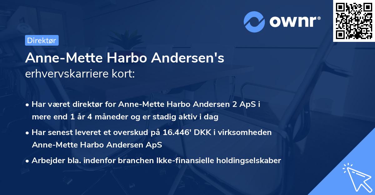 Anne-Mette Harbo Andersen's erhvervskarriere kort