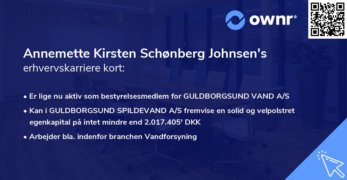 Annemette Kirsten Schønberg Johnsen's erhvervskarriere kort