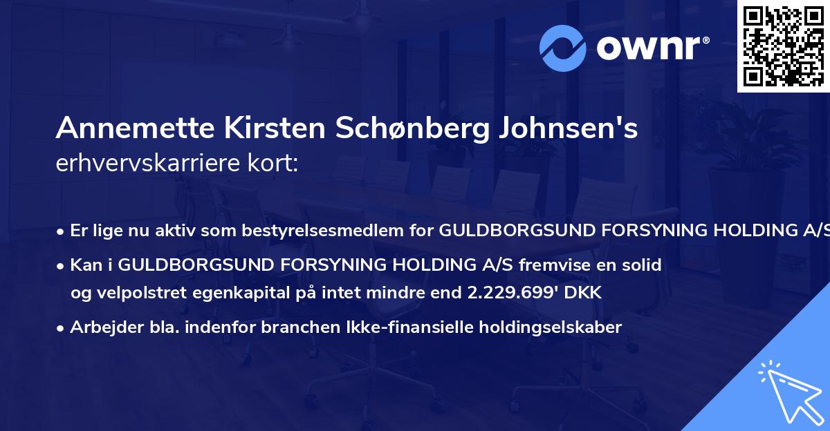 Annemette Kirsten Schønberg Johnsen's erhvervskarriere kort