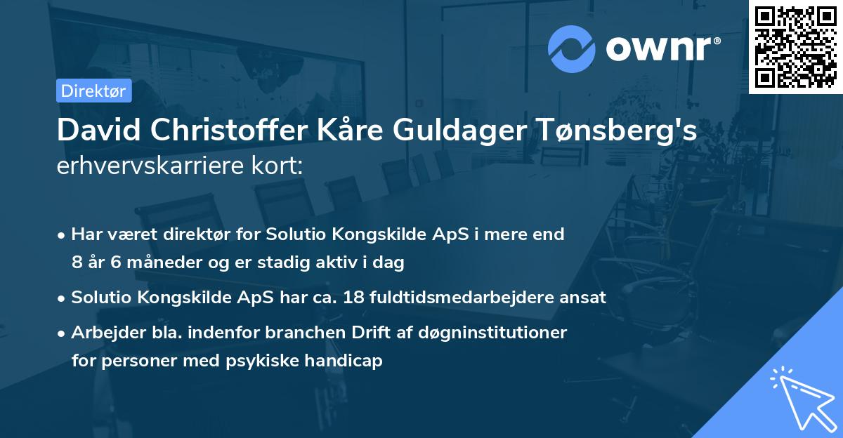 David Christoffer Kåre Guldager Tønsberg's erhvervskarriere kort