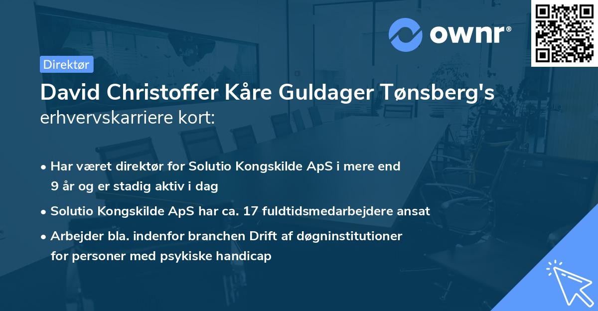 David Christoffer Kåre Guldager Tønsberg's erhvervskarriere kort