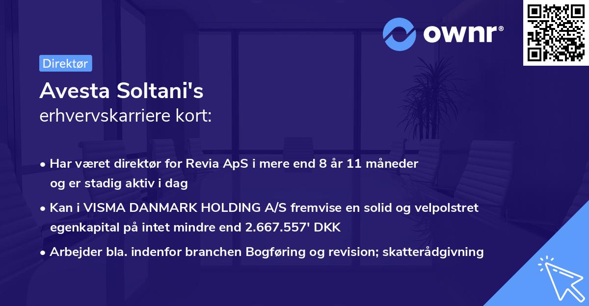 Avesta Soltani's erhvervskarriere kort