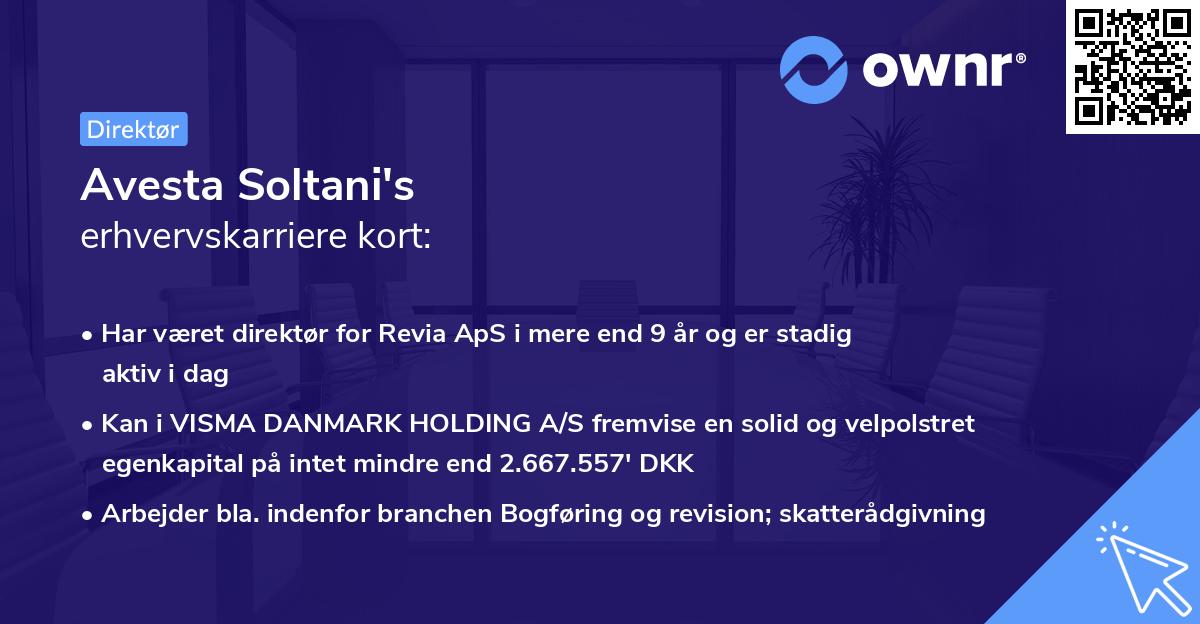 Avesta Soltani's erhvervskarriere kort