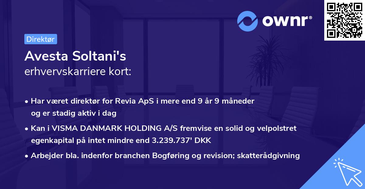 Avesta Soltani's erhvervskarriere kort