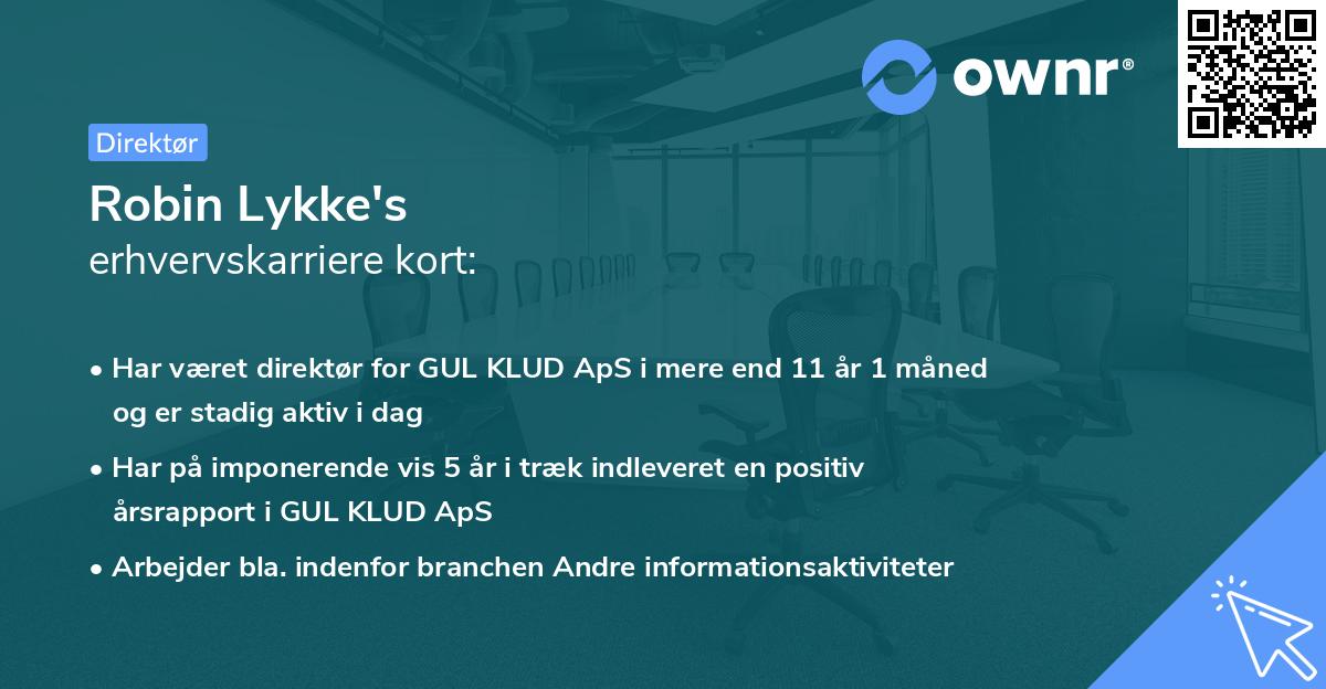 Robin Lykke's erhvervskarriere kort