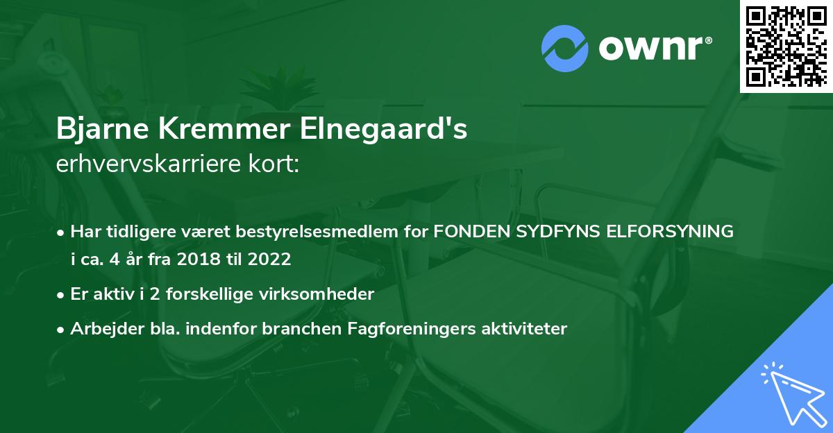 Bjarne Kremmer Elnegaard's erhvervskarriere kort