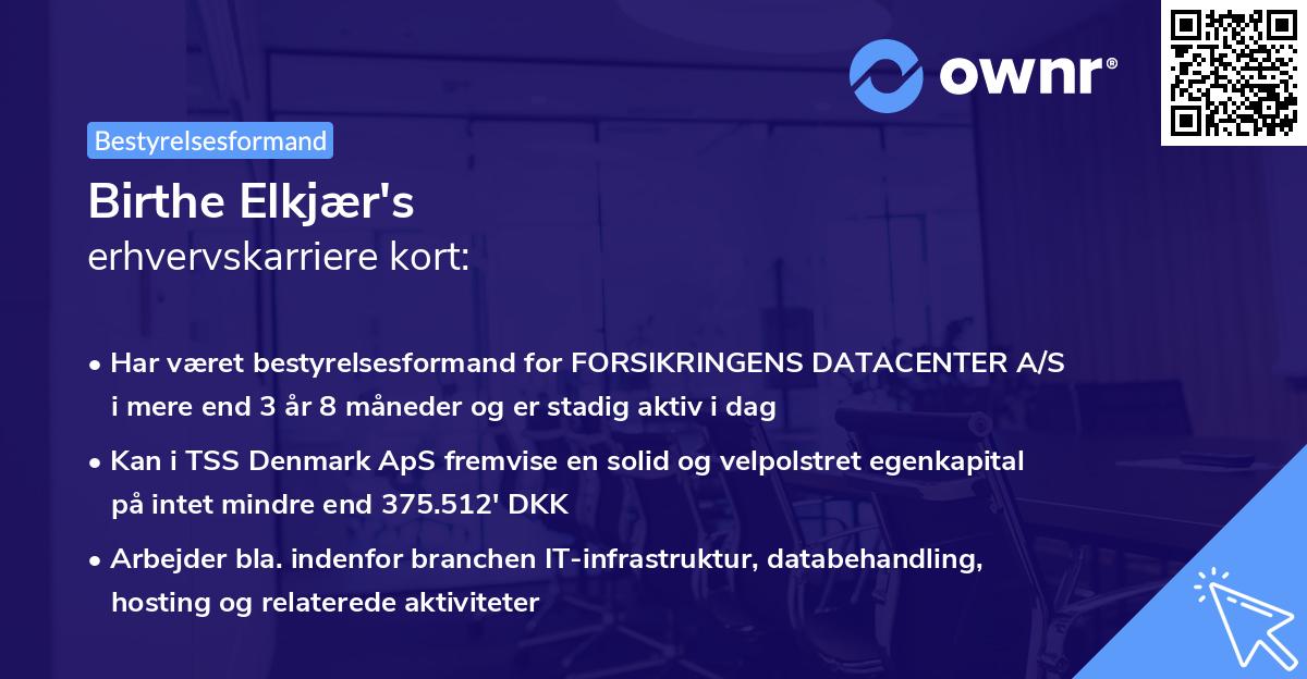 Birthe Elkjær's erhvervskarriere kort