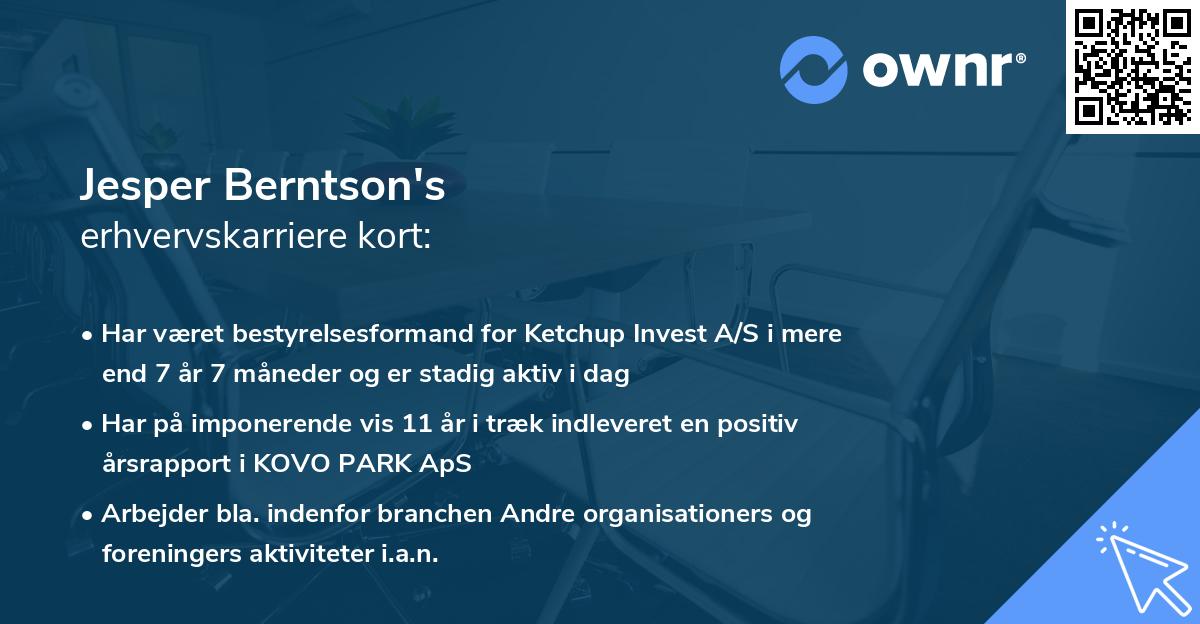 Jesper Berntson's erhvervskarriere kort