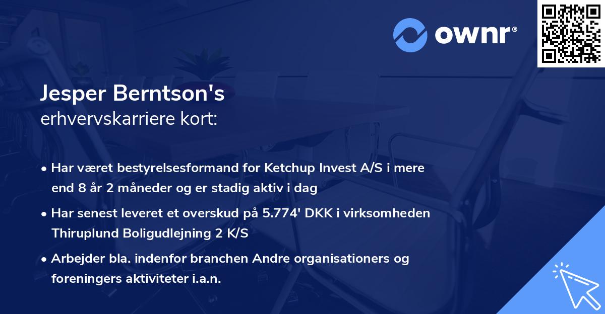 Jesper Berntson's erhvervskarriere kort