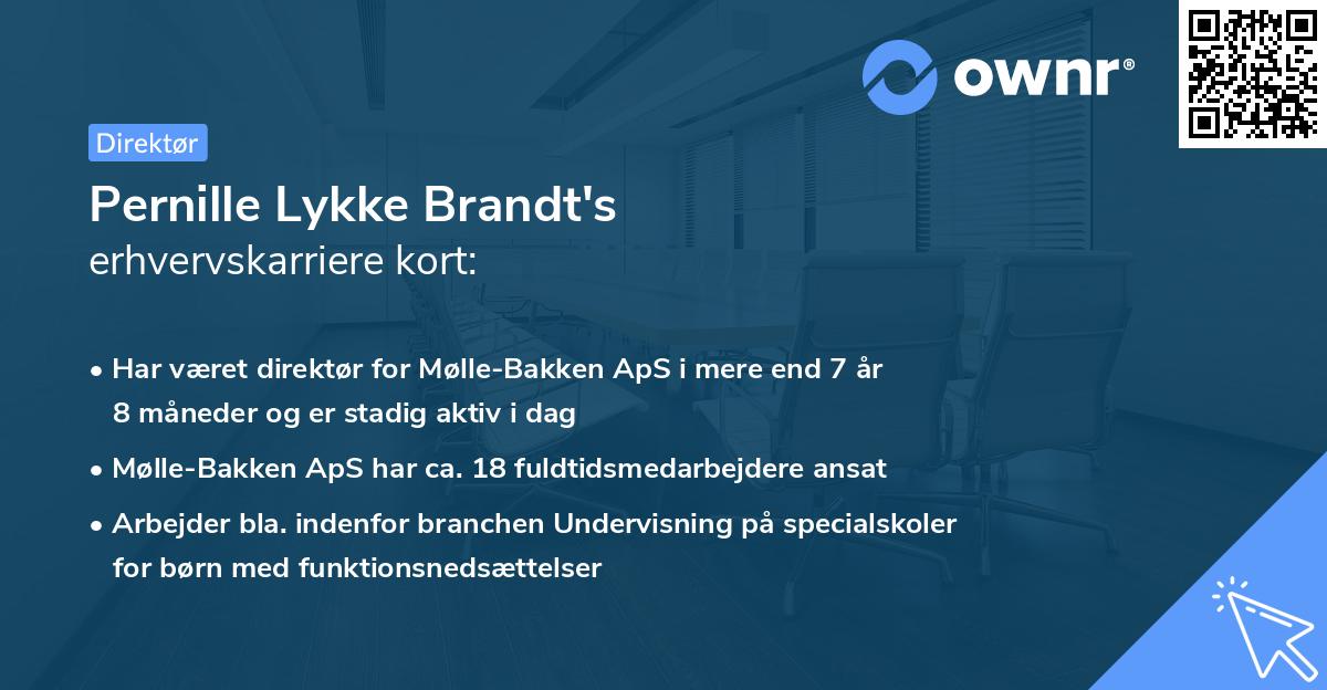 Pernille Lykke Brandt's erhvervskarriere kort