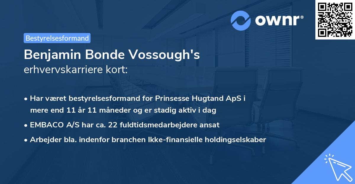 Benjamin Bonde Vossough's erhvervskarriere kort