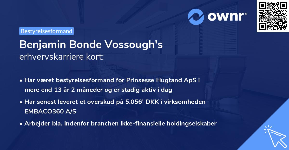 Benjamin Bonde Vossough's erhvervskarriere kort