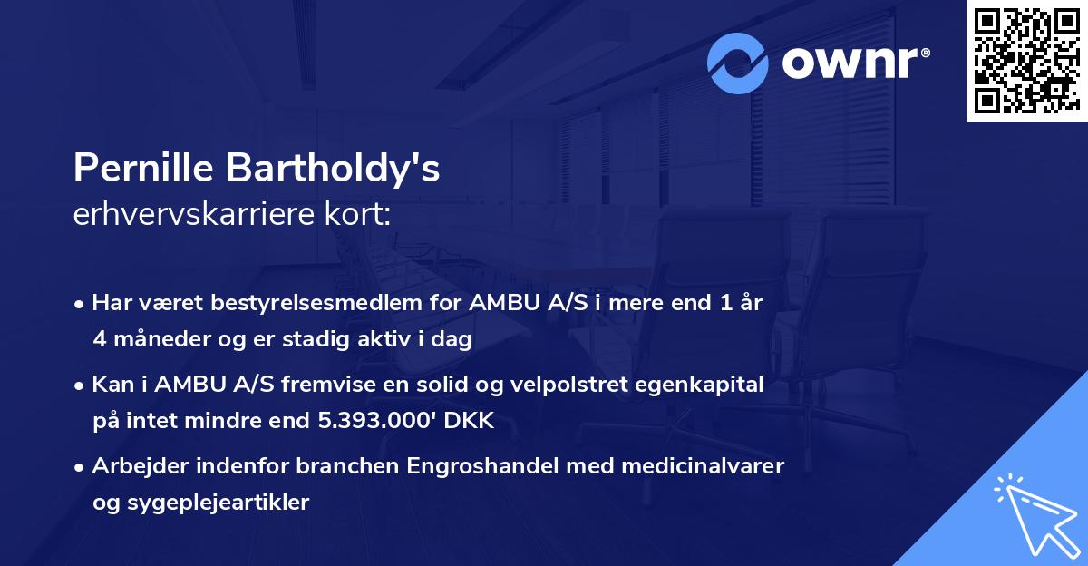 Pernille Bartholdy's erhvervskarriere kort