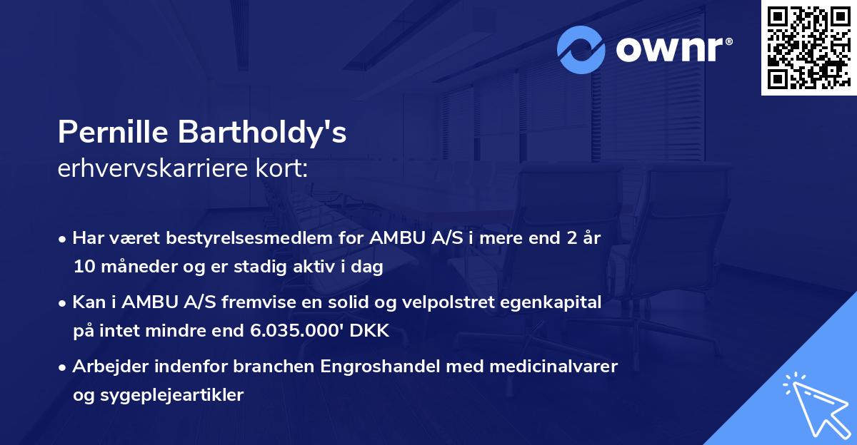 Pernille Bartholdy's erhvervskarriere kort