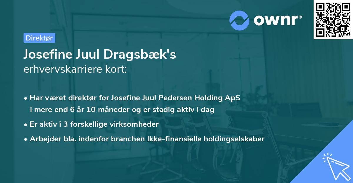 Josefine Juul Dragsbæk's erhvervskarriere kort