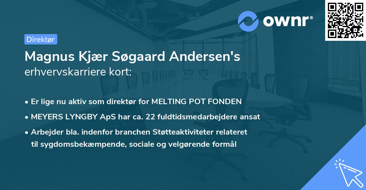 Magnus Kjær Søgaard Andersen's erhvervskarriere kort