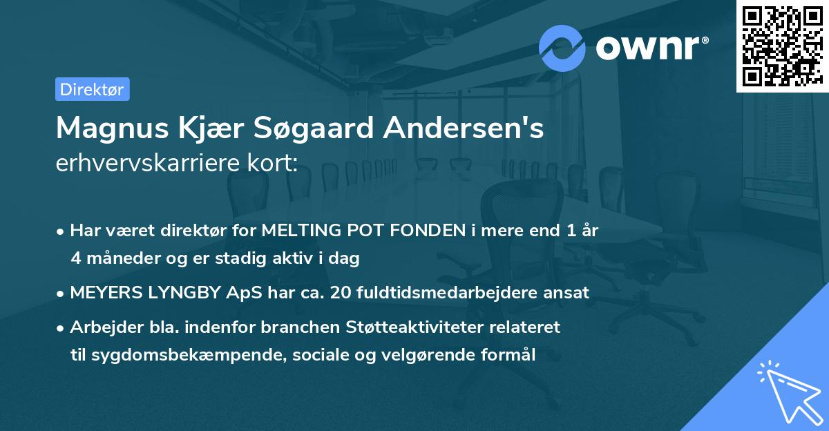 Magnus Kjær Søgaard Andersen's erhvervskarriere kort