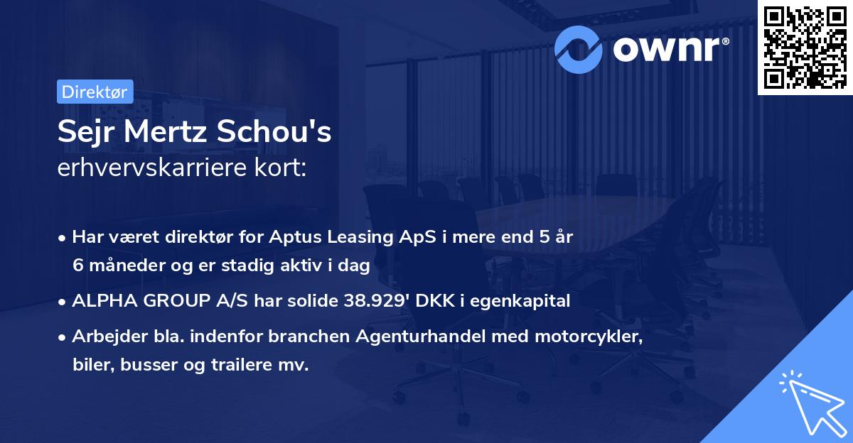 Sejr Mertz Schou's erhvervskarriere kort