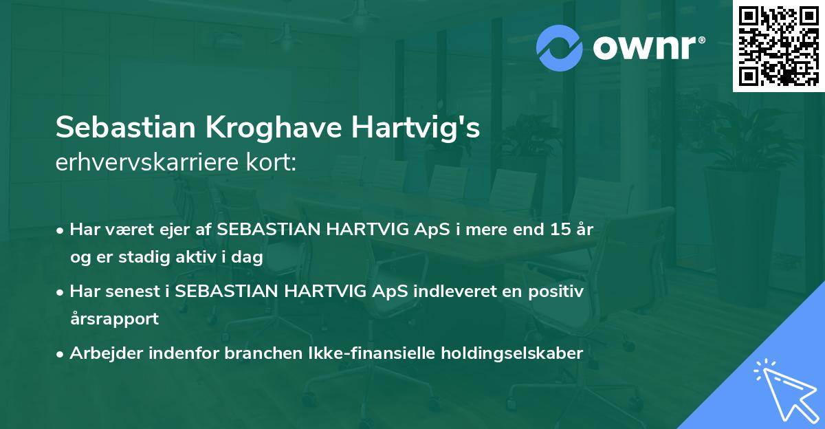 Sebastian Kroghave Hartvig's erhvervskarriere kort