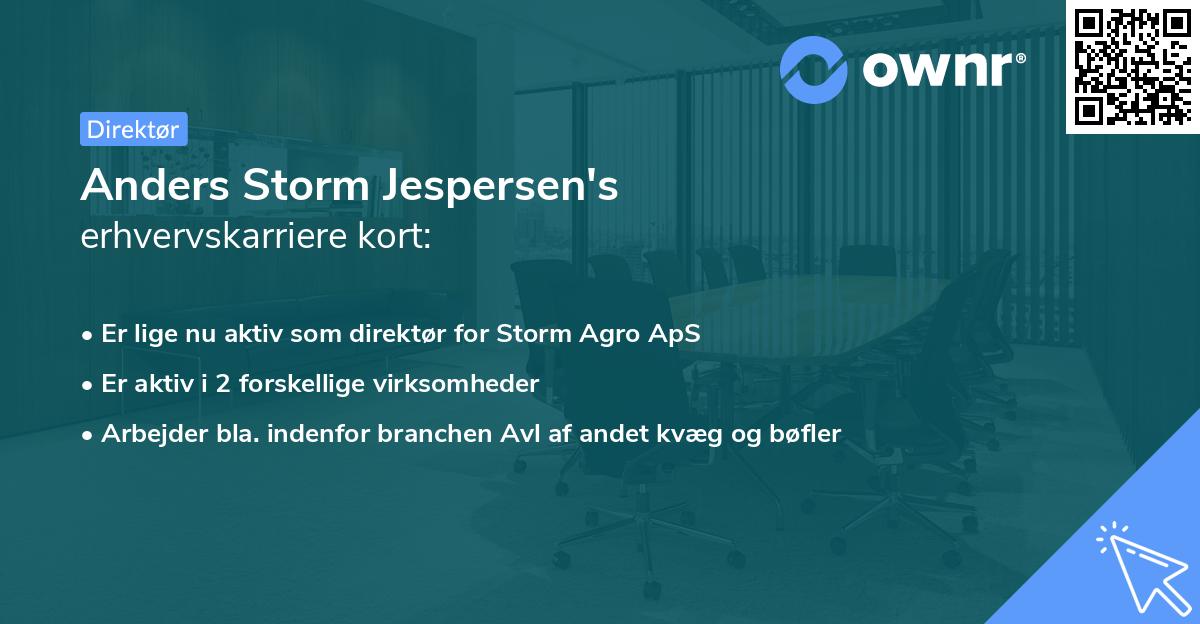 Anders Storm Jespersen's erhvervskarriere kort