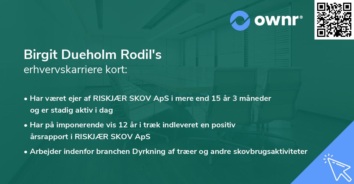 Birgit Dueholm Rodil's erhvervskarriere kort