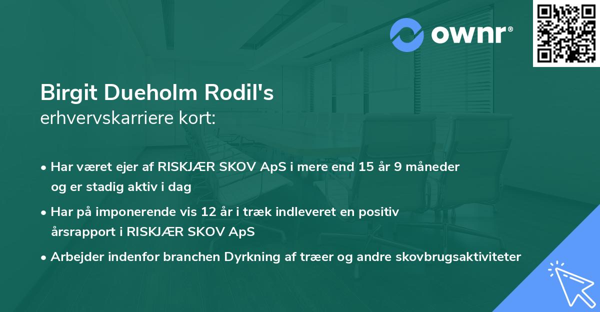 Birgit Dueholm Rodil's erhvervskarriere kort