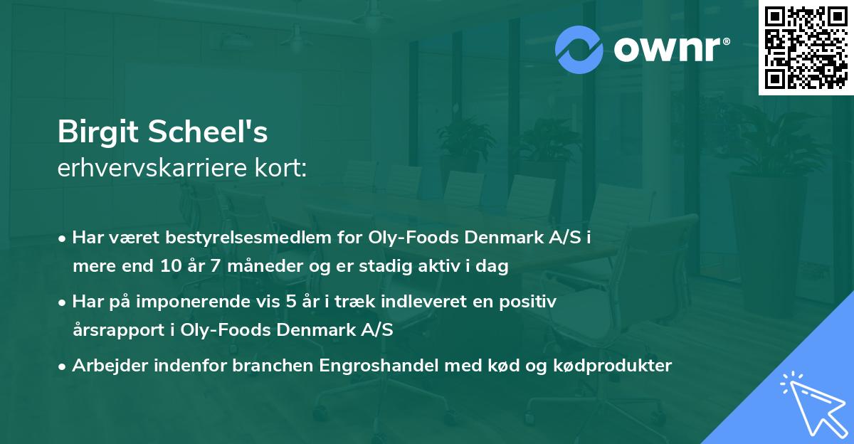 Birgit Scheel's erhvervskarriere kort