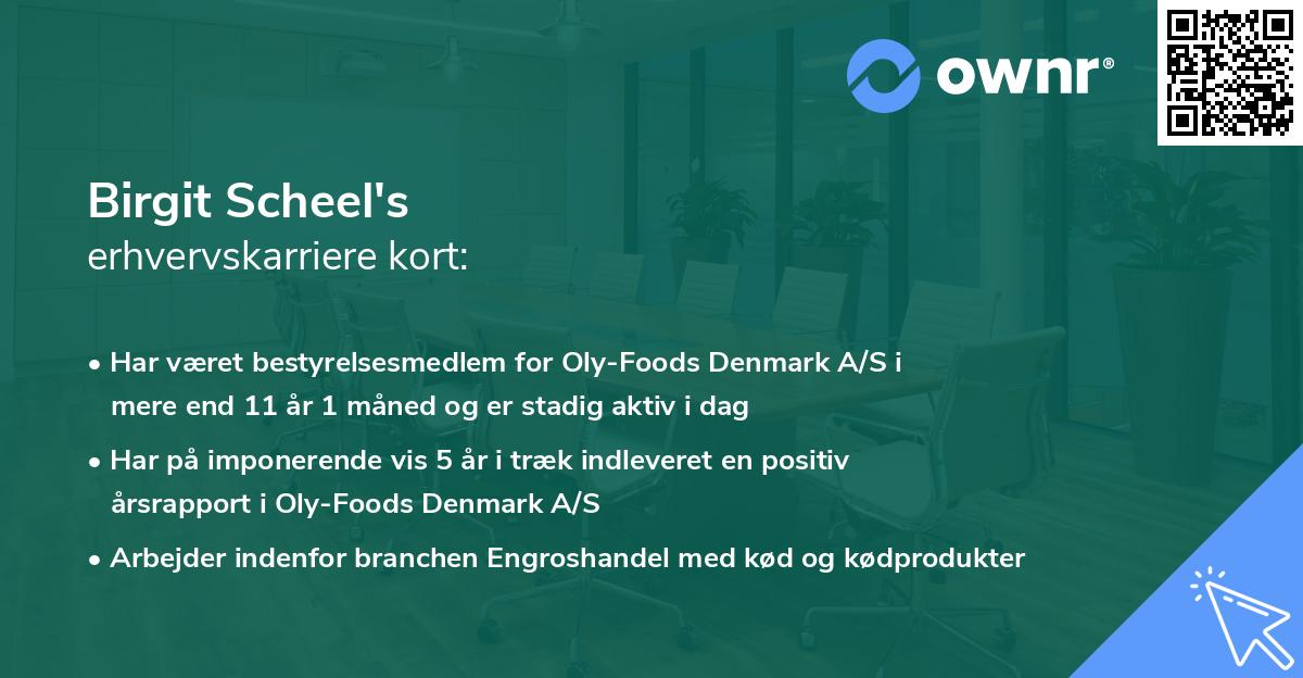 Birgit Scheel's erhvervskarriere kort