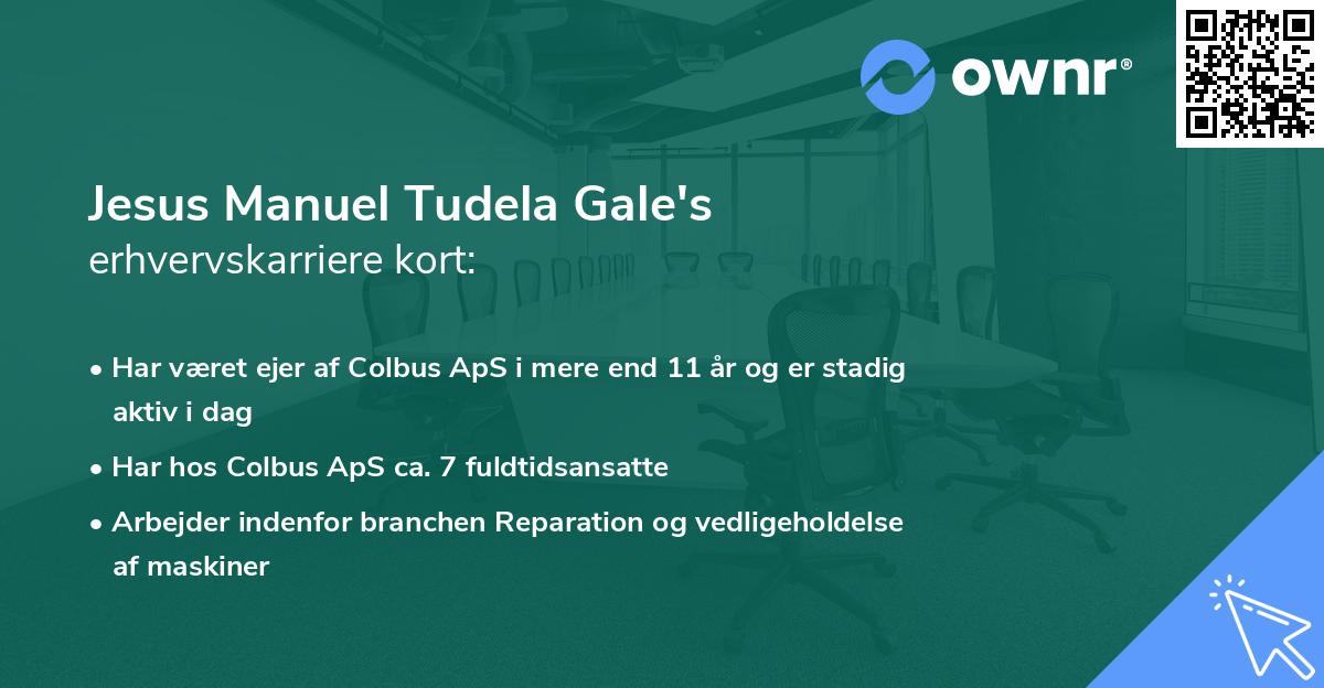 Jesus Manuel Tudela Gale's erhvervskarriere kort