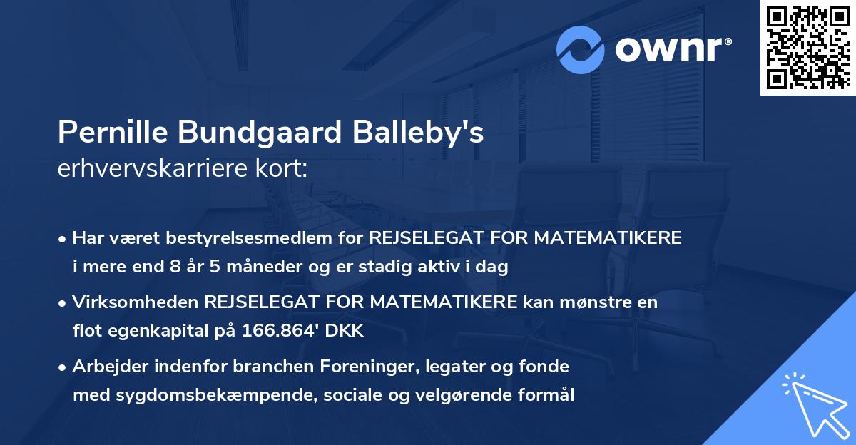 Pernille Bundgaard Balleby's erhvervskarriere kort