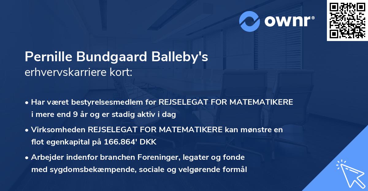 Pernille Bundgaard Balleby's erhvervskarriere kort