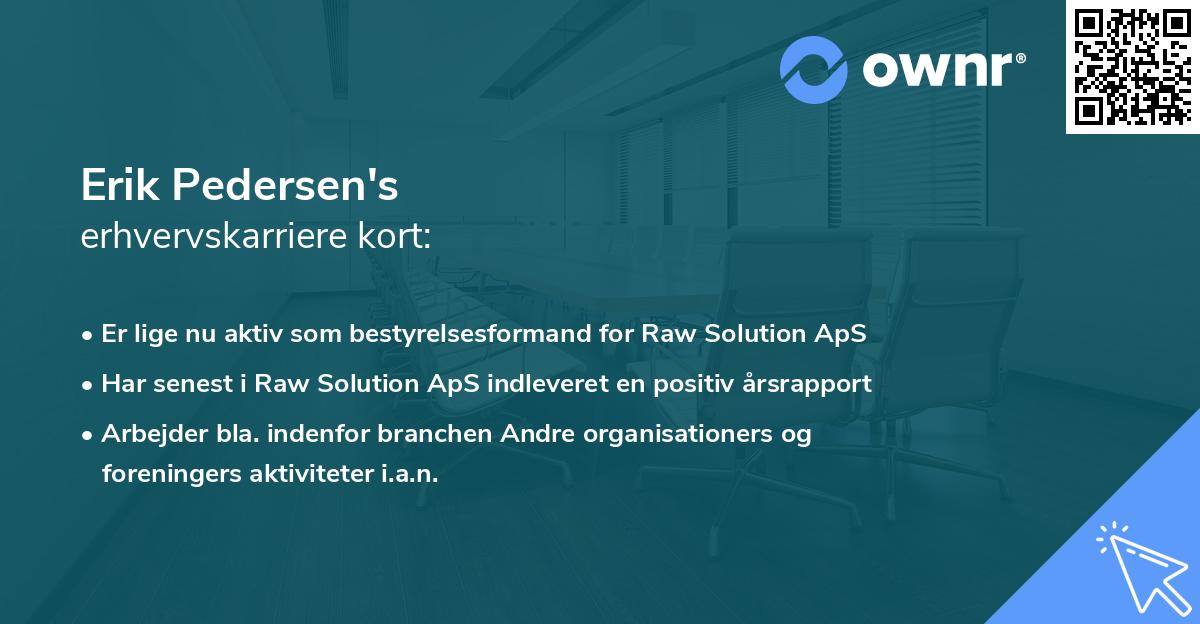 Erik Pedersen's erhvervskarriere kort