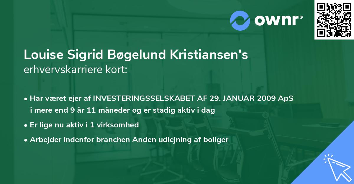 Louise Sigrid Bøgelund Kristiansen's erhvervskarriere kort