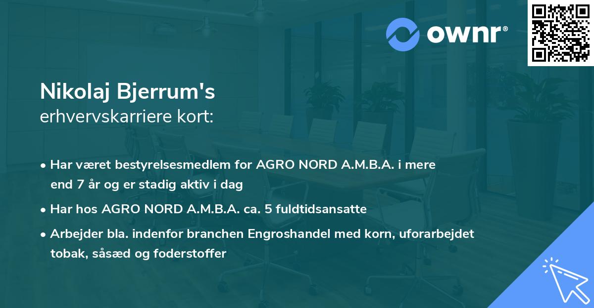 Nikolaj Bjerrum's erhvervskarriere kort