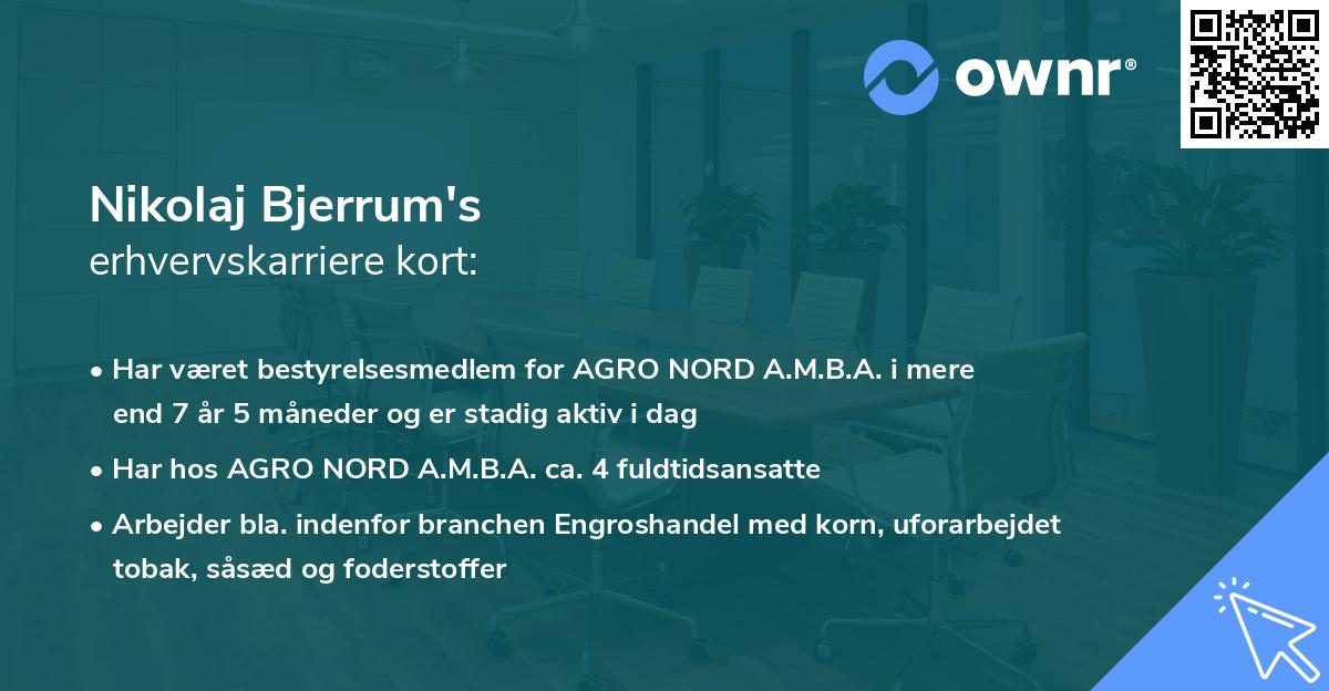 Nikolaj Bjerrum's erhvervskarriere kort