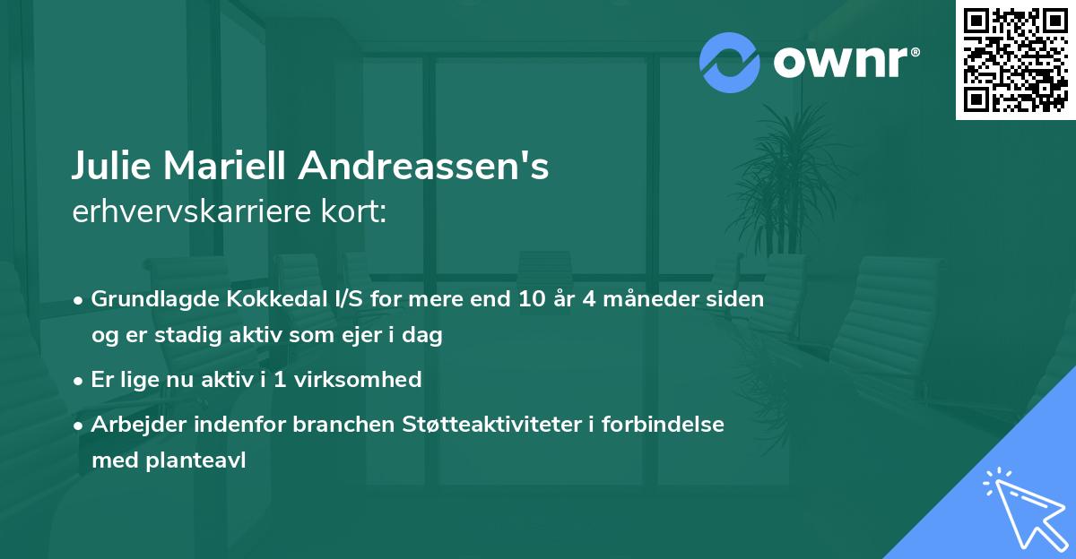 Julie Mariell Andreassen's erhvervskarriere kort