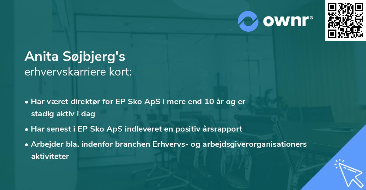Anita Søjbjerg's erhvervskarriere kort