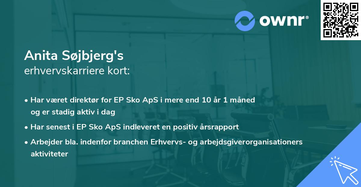 Anita Søjbjerg's erhvervskarriere kort