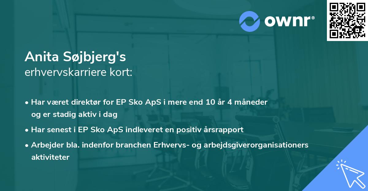Anita Søjbjerg's erhvervskarriere kort