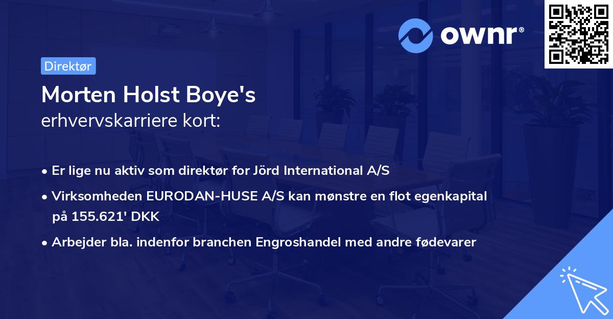 Morten Holst Boye's erhvervskarriere kort