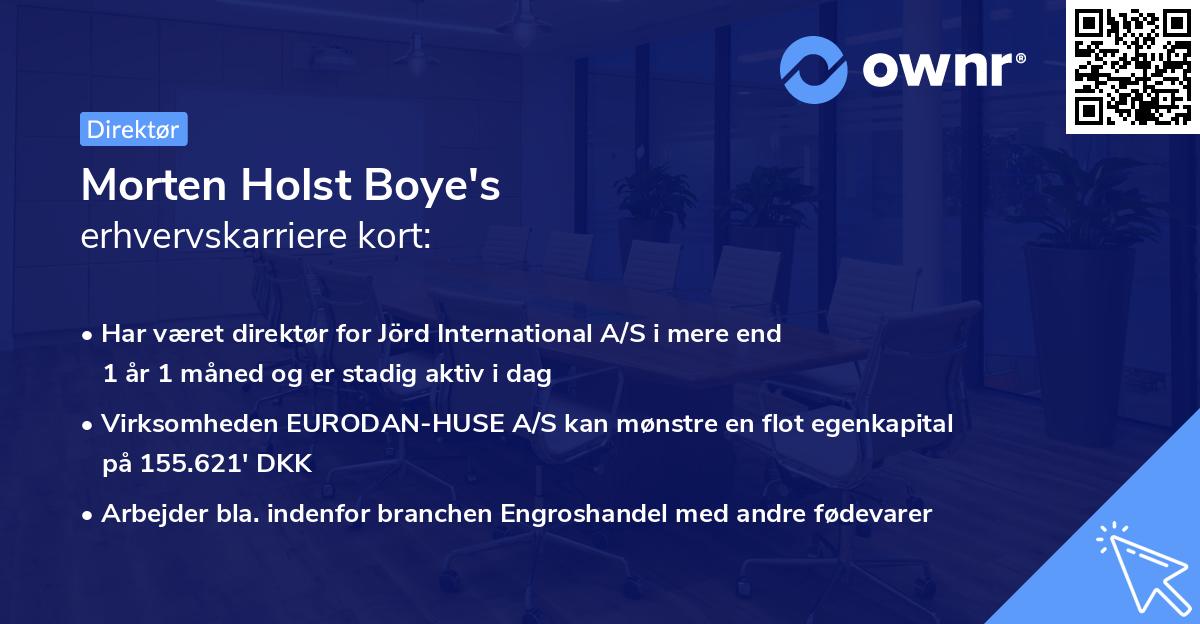 Morten Holst Boye's erhvervskarriere kort